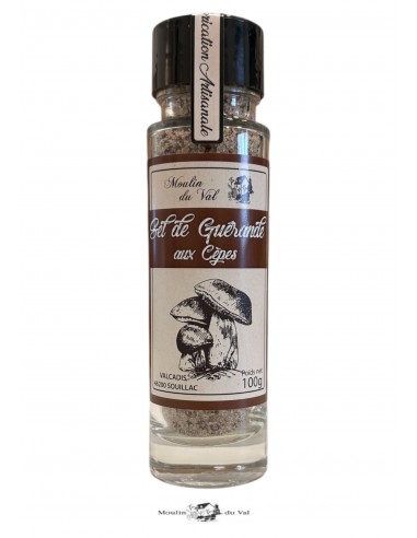 Sel aux Cèpes Salière 100g